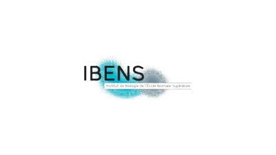 IBENS