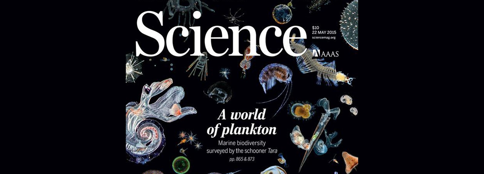 Couverture de la revue Science du 22 mai 2015, dédiée au plancton et aux premiers résultats sientifique de l'expédition Tara Oceans