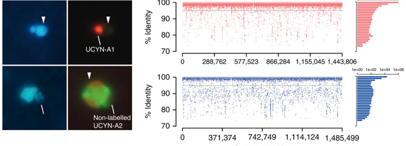 Nouvelle publication OCEANOMICS dans Nature Communications
