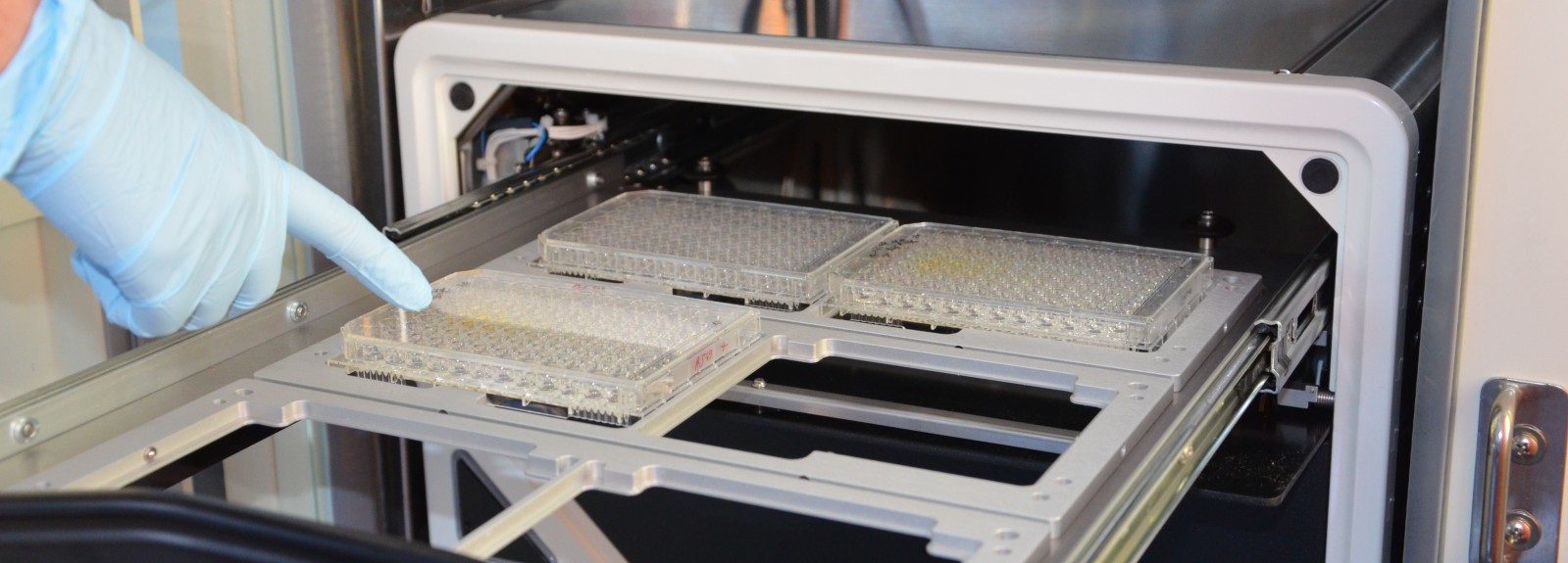 IncuCyte, a new tool for OCEANOMICS