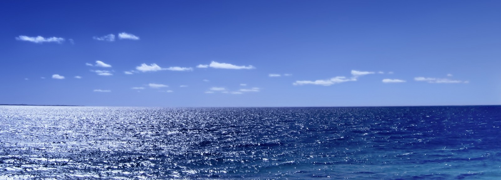 Marine bioprospection : legal, policy and ethical