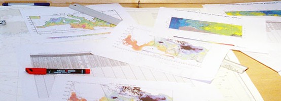 L'institut Méditerranéen d'Oceanologie est partenaire d'OCEANOMICS