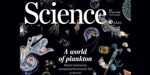 Couverture de la revue Science du 22 mai 2015, dédiée au plancton et aux premiers résultats sientifique de l'expédition Tara Oceans