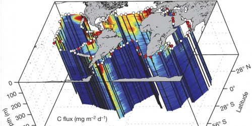 La trentième publication OCEANOMICS est dans Nature