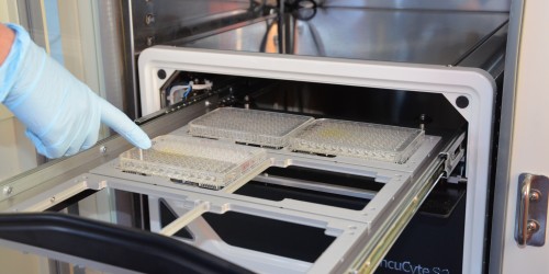 IncuCyte, a new tool for OCEANOMICS