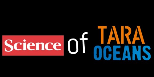 Présentation des premiers résultats scientifiques issus de l'expédition Tara Oceans et issus du projet OCEANOMICS. Videos de la journée de séminaires donnés à la Maison des Oceans à Paris le 2 juin 2015