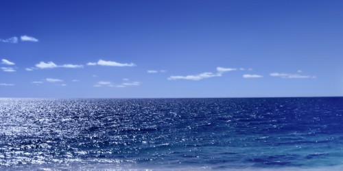 Marine bioprospection : legal, policy and ethical