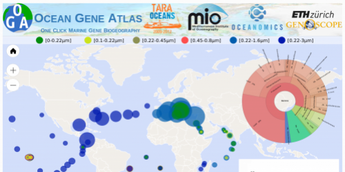 Ocean Gene Atlas, explore marine Big Data with nothing but a web browser