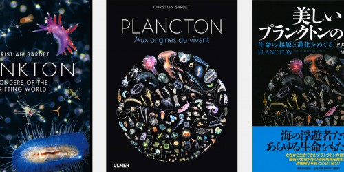 Christian Sardet, acteur d'OCEANOMICS et auteur de Plancton, aux origines du vivant, disponible en français, anglais et japonais