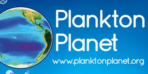 Le projet Plankton Planet, spin-off d'OCEANOMICS