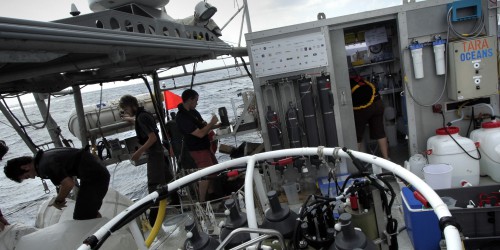 Equipe sur bateau Tara