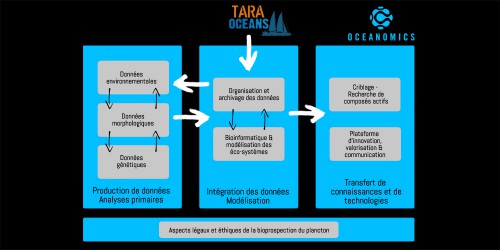 Le projet OCEANOMICS s'articule autour de huit groupes de travail répartis en trois thématiques organisationnelles