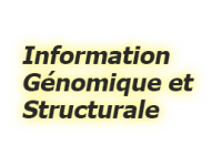 Information Génomique &amp; Structurale