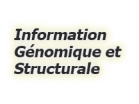 Information Génomique &amp; Structurale